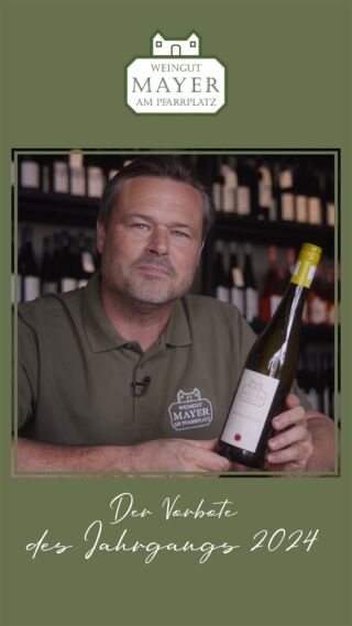 Ein erster Vorgeschmack auf den Jahrgang 2024. Der Junge Wiener, ab jetzt im Onlineshop erhältlich.#jungerwiener #urbanwinemaking #vienna #wine