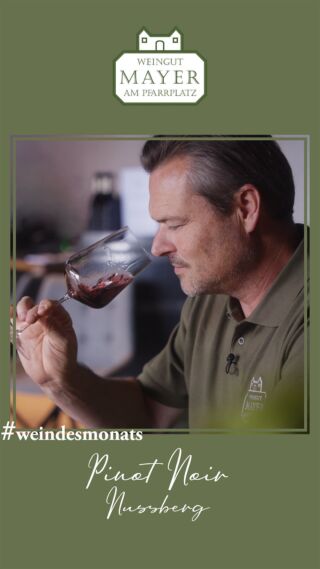 Der Wiener Nussberg und Pinot Noir – eine perfekte Symbiose 🍇 Feinfruchtig in der Nase, dezent im Tannin, pure Eleganz im Glas. 🍷
Nur im November: -10% auf Pinot Noir Nussberg im Onlineshop.#weindesmonats #pinotnoir #nussberg