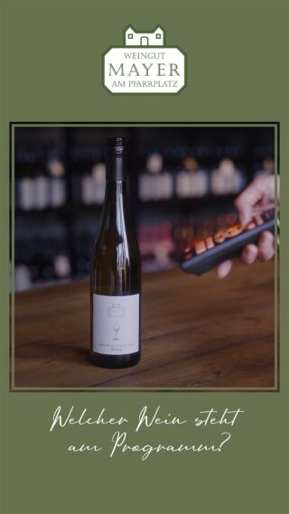 Welcher Wein steht bei euch heute am Programm? 🍷📺#winetv #austrianwine #austria #wine #vienna