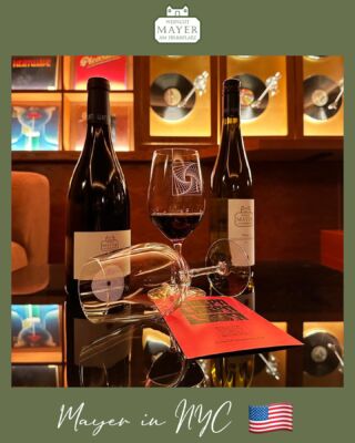 New Wine Hotspot in Manhattan 🎉🍾
Thrilled our wine will be served at the new wine bar Libera in NYC 🇺🇸#newyork #manhattan #winebar #wine
