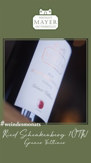 Der sanddurchzogene Schenkenberg beschert unserem Grüner Veltliner Schenkenberg 1ÖTW Erste Lage eine ganz besondere Aromatik.
✨ Perfekt für die Festtage 🎄 Nur im Dezember: -10% auf unseren Grünen Veltliner Schenkenberg.#weindesmonats #schenkenberg #erstelage